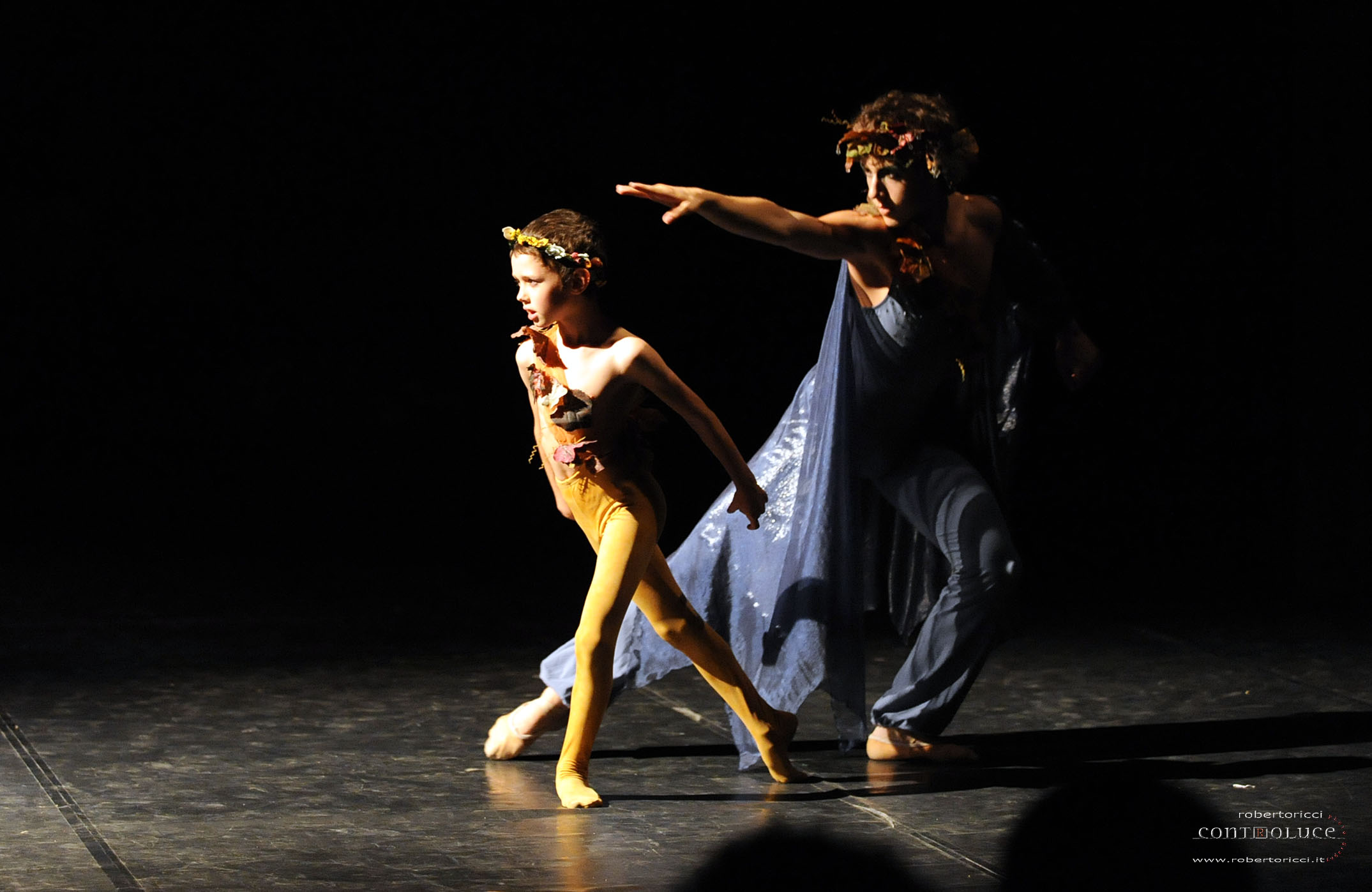 Professione danza3