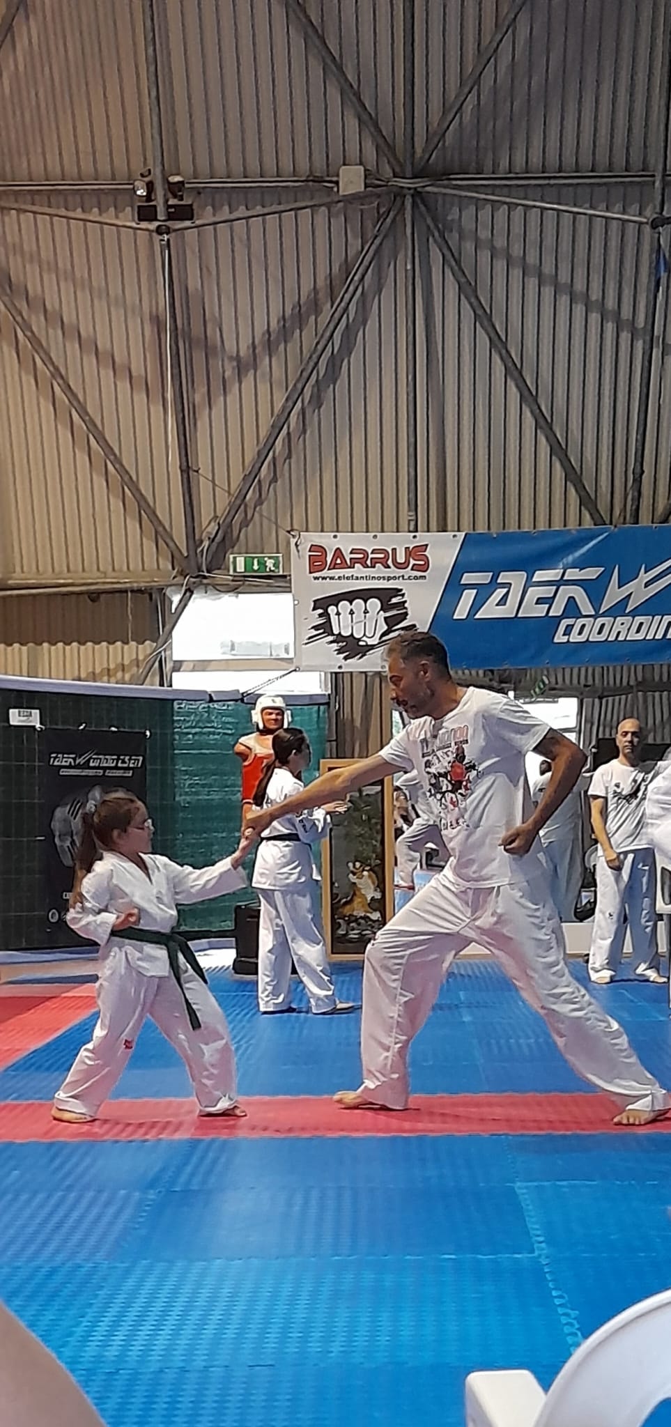 Taekewondo3